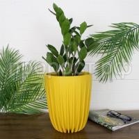 68745_middle 68745_middle