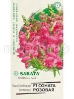 Без названия (1) Без названия (1)