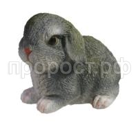 дикие животные_html_300df34dd6d9c008 дикие животные_html_300df34dd6d9c008