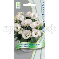 эустома махр. рози бело-розовая