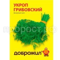 укроп грибовский укроп грибовский