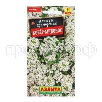 алиссум ковер медонос алиссум ковер медонос