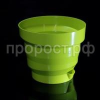 Акцент фисташка