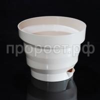 Акцент жемчуг