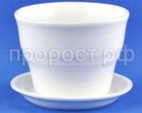 колибрибел