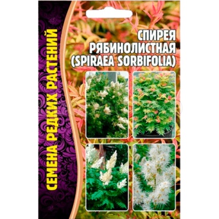 Редкие растения Спирея Рябинолистная 0,02г
