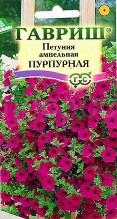 Гавриш Петуния амп. Пурпурная  гранул. пробирка 7шт
