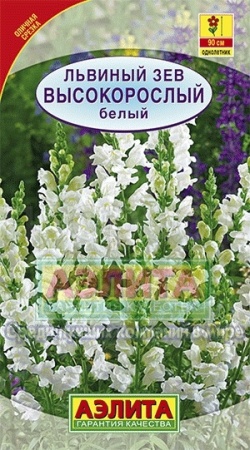 Аэлита Львиный зев высокорослый белый 0,1г