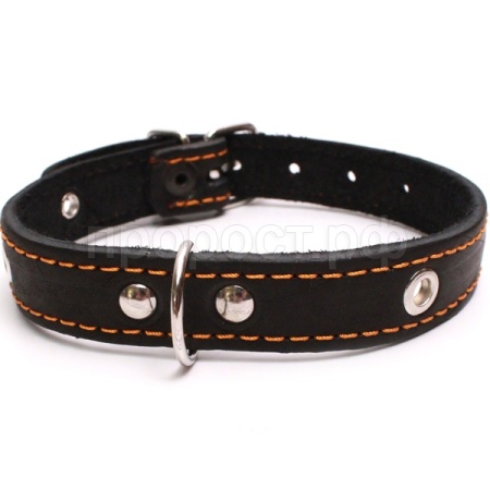 Ошейник кожа 25мм 1слойный безразмерный 53-55см/40700/Бим