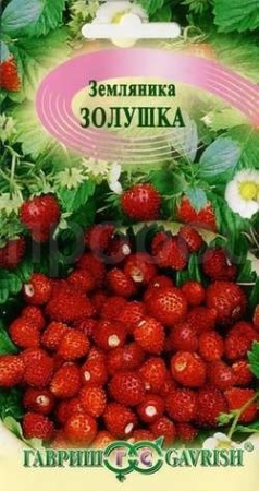 Гавриш Земляника Золушка 0,03г