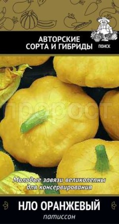 Поиск Патиссон НЛО Оранжевый 12шт