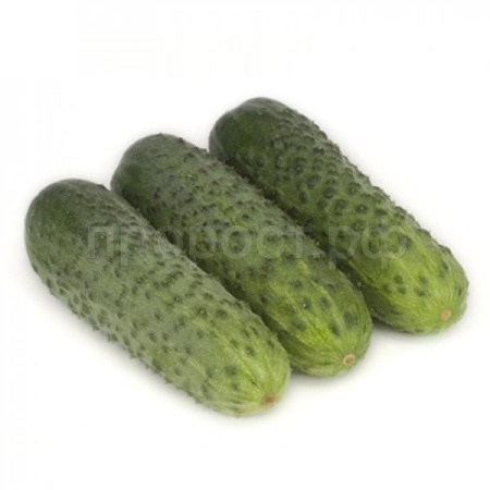 Огурец Караоке F1 100шт Огурец Караоке F1 100шт