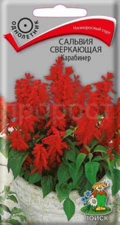 Поиск Сальвия сверкающая Карабинер 0,1г