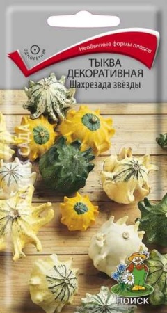 Поиск Тыква декоративная Шахрезада звёзды 5шт