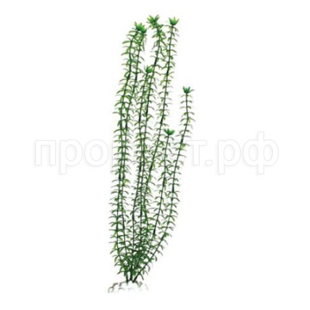 Пластиковое растение 20см Plant 004