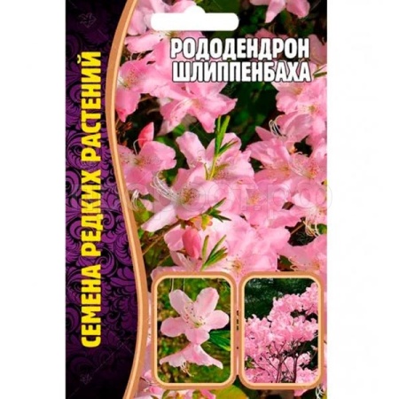 Редкие растения Рододендрон Шлиппенбаха 0.01г