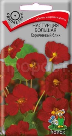 Поиск Настурция Коричневый блик большая 1г