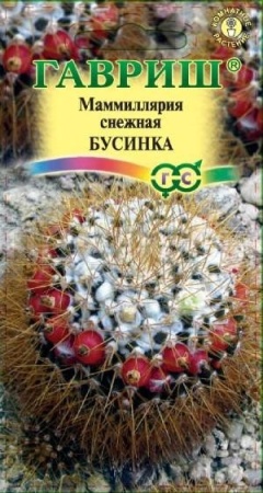 Гавриш Маммиллярия Бусинка 2 шт