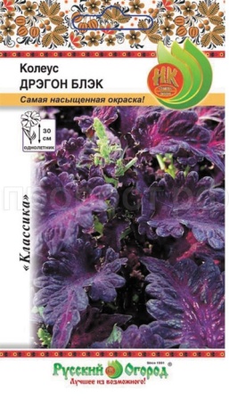 НК Комн. Колеус Дрэгон блек 10шт