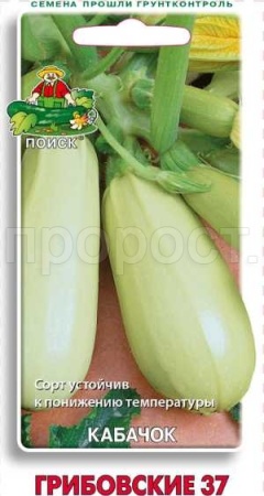 Поиск Кабачок Грибовские 37 12шт