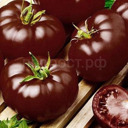 Сембат Томат Черный принц 0,2г XXXL