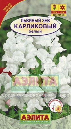 Аэлита Львиный зев карликовый белый 10шт