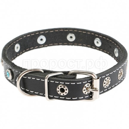 Ошейник кожа 30мм 1слойный с украшением Собака 60-62см/40892/Бим