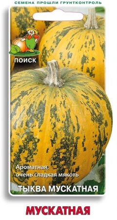 Поиск Тыква мускатная Мускатная 10шт 