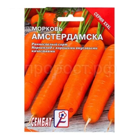 Сембат Морковь Амстердамска 10г XXXL