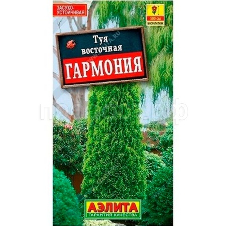 Аэлита Туя восточная Гармония 8шт