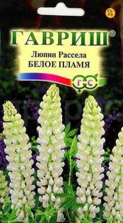 Гавриш Люпин Рассела Белое пламя 0,5 г