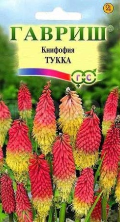 Гавриш Книфофия Тукка 0,05г