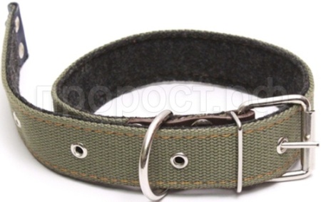 Ошейник брезентовый 45мм Н/У на фетре/180046/Бим