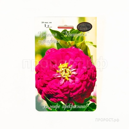 Каприс Цинния Мишутка пурпурная 20*1