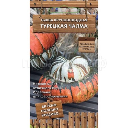 Поиск Декоративный огород Тыква крупноплодная Турецкая чалма 5шт 