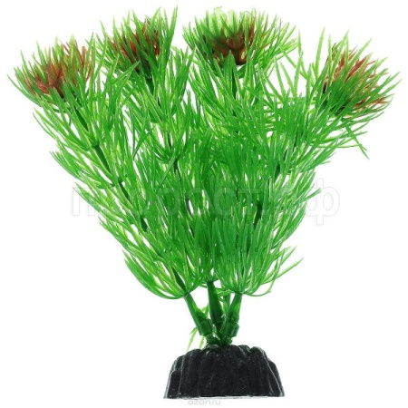 Пластиковое растение 10см Plant 002(Амбулия)