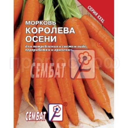 Сембат Морковь Королева осени 10г XXXL