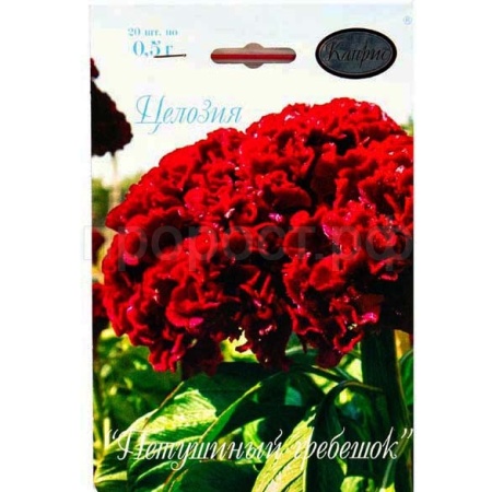 Каприс Целозия Петушиный гребешок 20*1