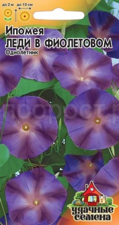 Гавриш Уд семена Ипомея Леди в фиолетовом 0,5г
