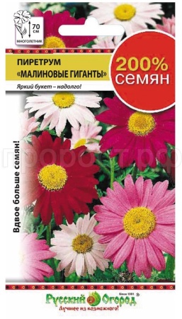 Пиретрум Малиновые гиганты смесь 0,4г