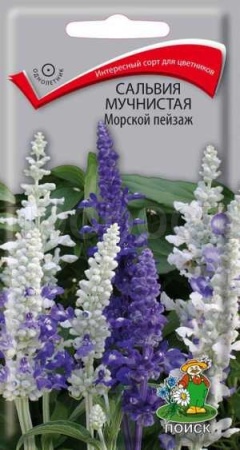 Поиск Сальвия Морской пейзаж 10шт