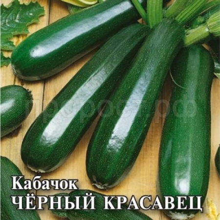Кабачок Черный красавец 25 г Кабачок Черный красавец 25 г