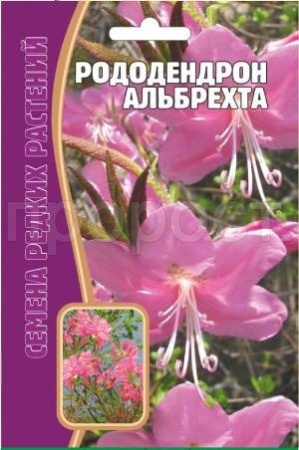 Редкие растения Рододендрон Альбрехта 25 шт 