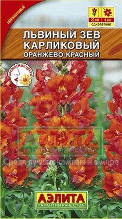 Аэлита Львиный зев карликовый оранжево-красный 10шт