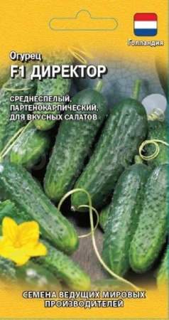 Огурец Директор F1 5шт Огурец Директор F1 5шт