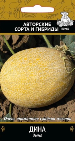 Дыня Дина 15шт  Дыня Дина 15шт