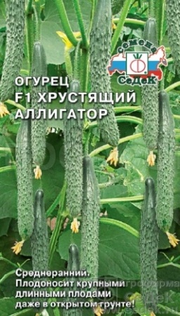 Огурец Хрустящий Аллигатор F1 0,2г Огурец Хрустящий Аллигатор F1 0,2г