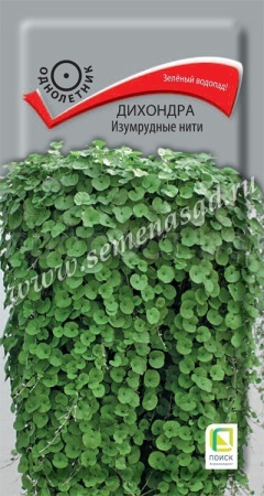 Поиск Дихондра Изумрудные нити 5шт