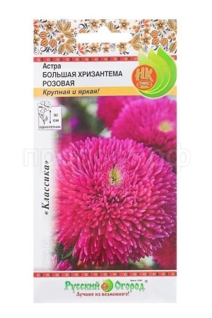 Астра Большая хризантема розовая 50шт