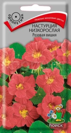 Поиск Настурция Розовая вишня 1гр